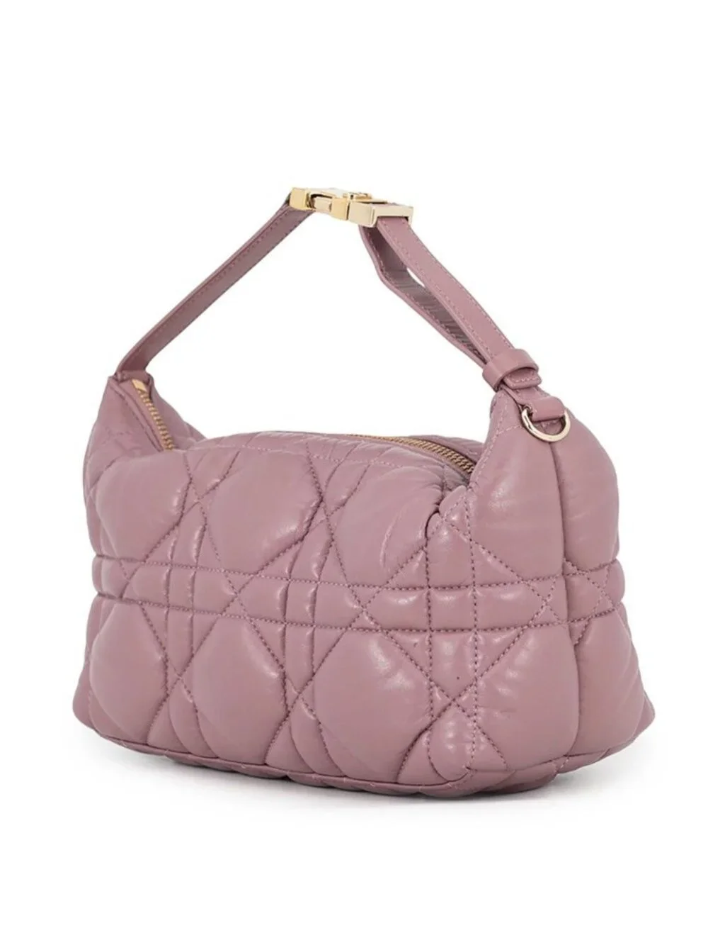 Dior Handbag Travel Nomad Pouch Calf Leather Omig